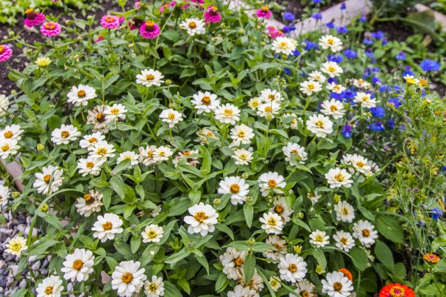 Immagine: Agriturismo Moraier